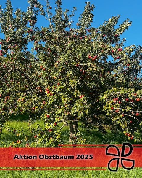 Aktion Obstbaum startet wieder