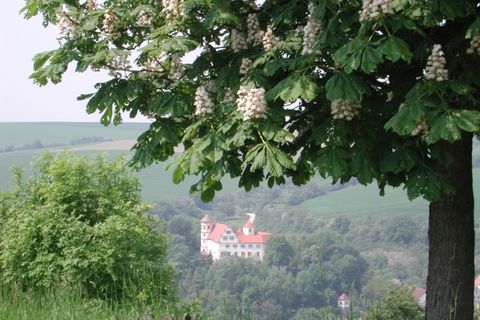 Blick auf Schloss Laibach