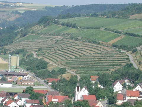 Blick auf die Weinberge