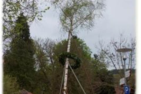 Maibaumaufstellen in Dörzbach