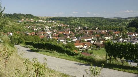 Blick über Dörzbach aus den Weinbergen