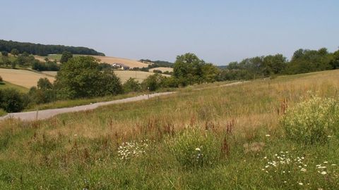 Baugebiet Sommerberg